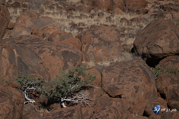 20230530-Namibie-GreenFire Desert Lodge-JNB_3360