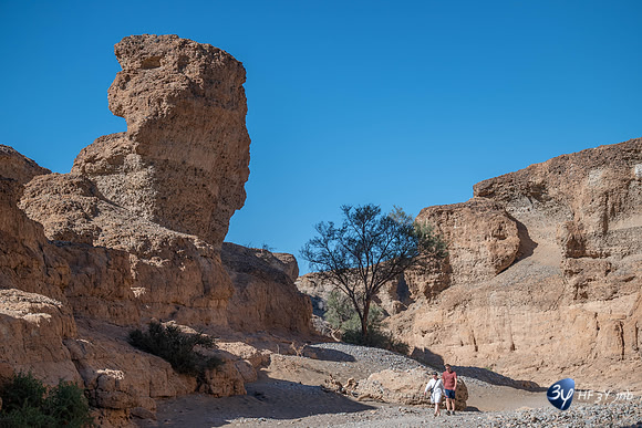 20230531-Namibie-Sesriem-Sossusvlei-3Z5_1499