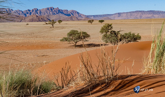 20230531-Namibie-Sesriem-Sossusvlei-JNB_3718