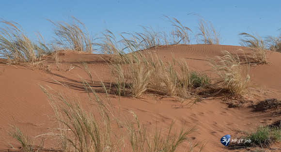 20230531-Namibie-Sesriem-Sossusvlei-JNB_3731