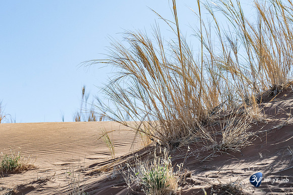 20230531-Namibie-Sesriem-Sossusvlei-JNB_3713