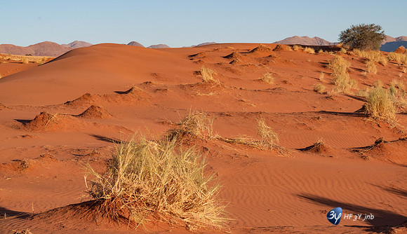 20230530-Namibie-GreenFire Desert Lodge-3Z5_1114