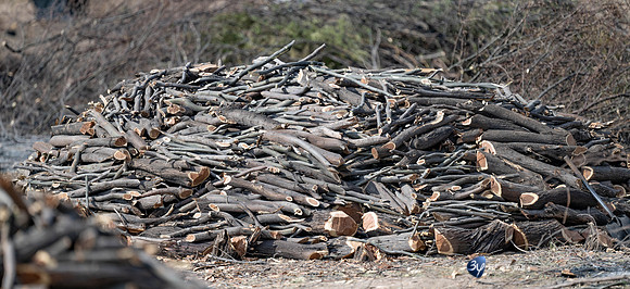 20230527-0528--Namibie-Kalaharigamelodge-JNB_2138