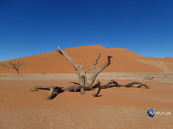 20230626-Namibie-Note20-MJB-20230531_141454