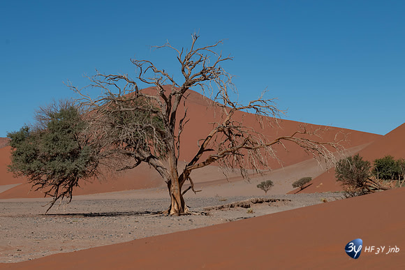 20230531-Namibie-Sesriem-Sossusvlei-20230531-Namibie-Sesriem-Sossusvlei-3Z5_1338