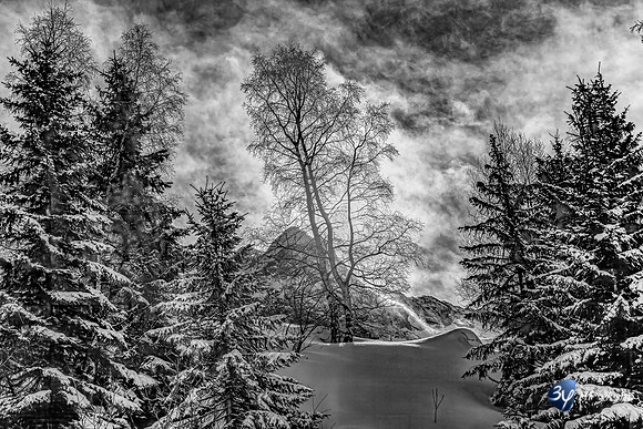 20250204-Alpe-Huez-_Z9K8182-2-ph3-2-M-M-1_1