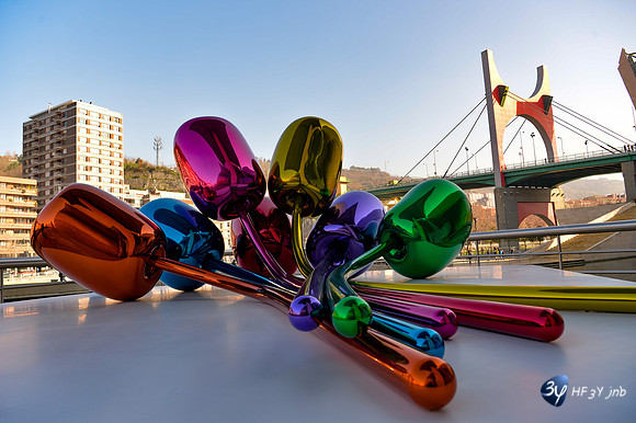 20170103-bilbao-guggenheim-espagne-_6D48314_5945