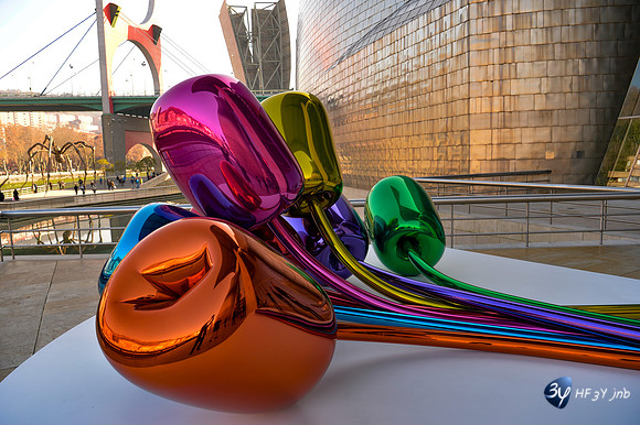 20170103-bilbao-guggenheim-espagne-_6D48316_5946