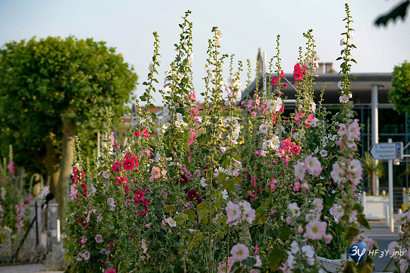 201307-oleron-_JNB8776