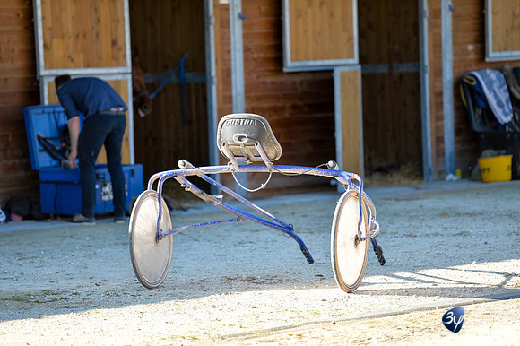 20170326-hippodrome-chatelaillon-rafale-course-cheval-_6D40068_7346