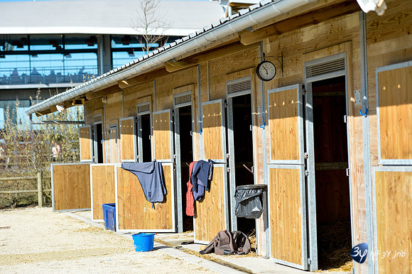 20170326-hippodrome-chatelaillon-rafale-course-cheval-_6D40069_7347