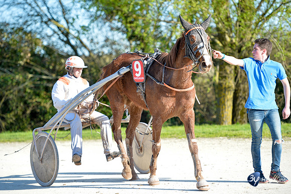 20170326-hippodrome-chatelaillon-rafale-course-cheval-_6D40071_7349