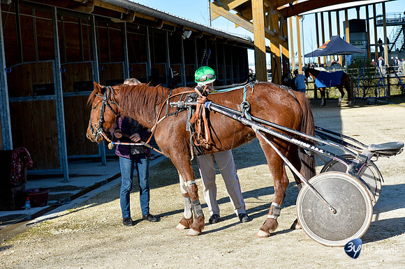 20170326-hippodrome-chatelaillon-rafale-course-cheval-_6D40083_7361