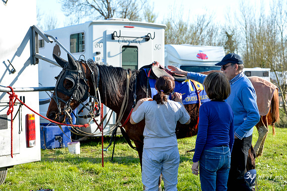 20170326-hippodrome-chatelaillon-rafale-course-cheval-_6D40086_7364