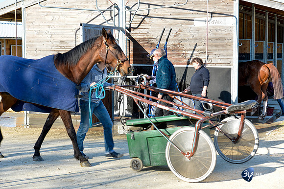 20170326-hippodrome-chatelaillon-rafale-course-cheval-_6D40087_7365
