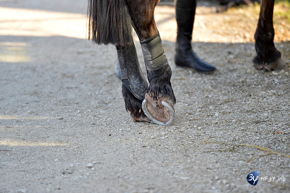 20170326-hippodrome-chatelaillon-rafale-course-cheval-_6D40088_7366
