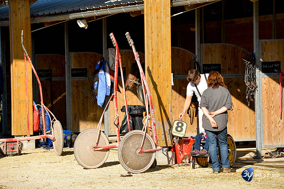20170326-hippodrome-chatelaillon-rafale-course-cheval-_6D40090_7368
