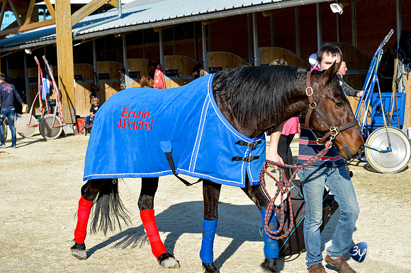 20170326-hippodrome-chatelaillon-rafale-course-cheval-_6D40099_7377