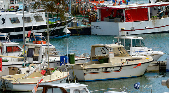 201406-oleron-ile-_14I8285