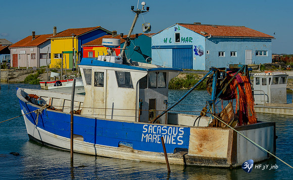 201406-oleron-ile-_14I8345