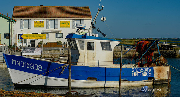 201406-oleron-ile-_14I8352