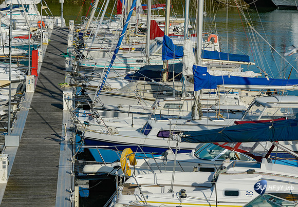 201406-rochelle-_14I5775