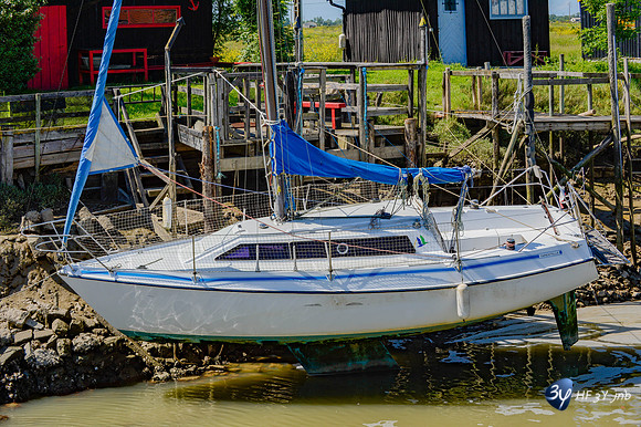 201506-palmyre-tremblade-_HF31652