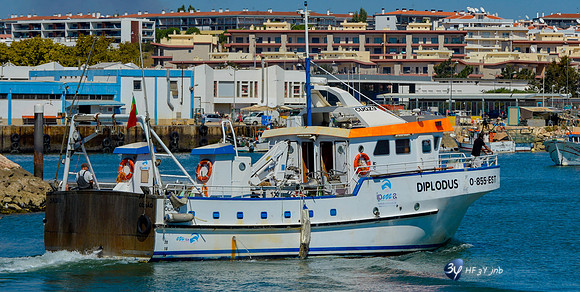 201510-lagos-portugal-_HF33884