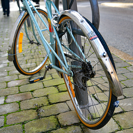 201611-troyes-rachi-_6D47012_5036