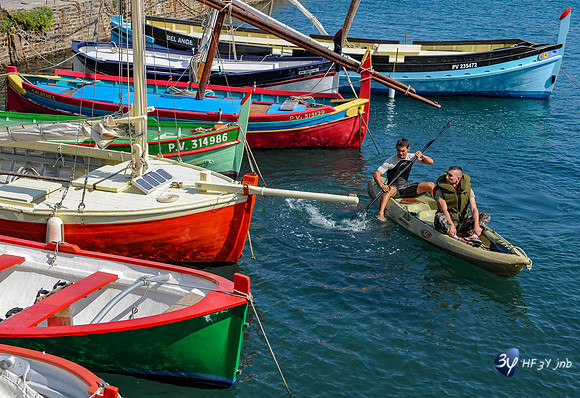 20090915 -Collioure 2009 021