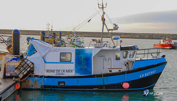 20100221-rochelle-port-DSC_8916
