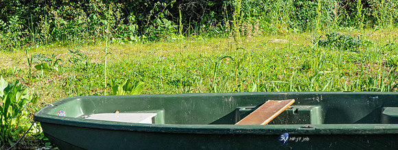 20100516-palmyre-zoo-animal-DSC_2010_334