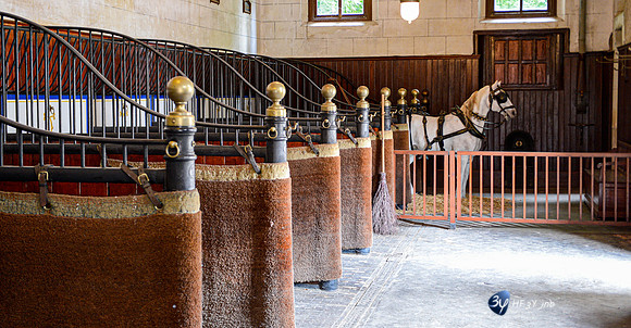 20120701-chateau-jardin-chaumont-loire-_DSC0576_11190