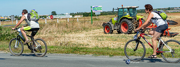 20120808-angoulins-cigognes-tracteur-champs-_JNB1612