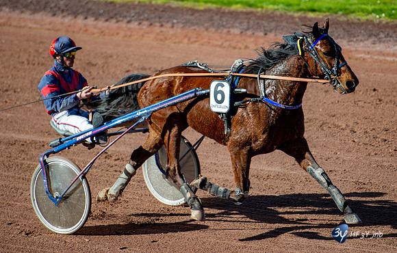 20170326-Cheval-sulky-chatelaillon-hippodrome_6D49942_7246