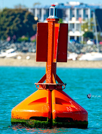20170417-bateau-Minimes-Rochelle-balise_6D40441_7683