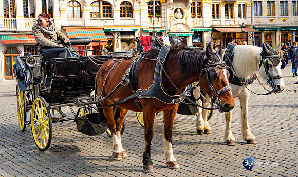 20170514-Brussel-Belgique-_6D49573_6960