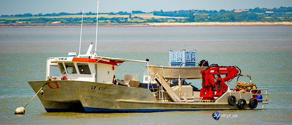 20170528-bateau-Fouras-_6D41241_8371