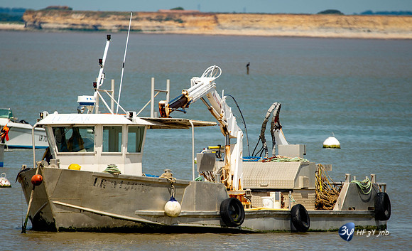 20170528-bateau-Fouras-_6D41242_8372