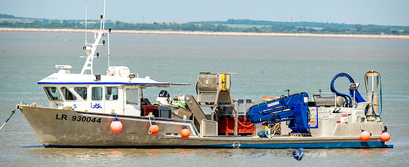 20170528-bateau-Fouras-huitres_6D41245_8374
