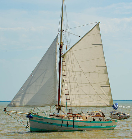 20170528-bateau-Fouras-voile_6D41284_8405