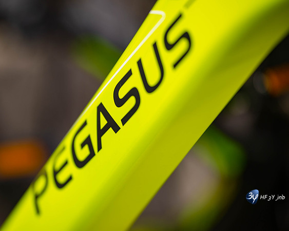 20171031-velo-bicyclette-Chiasson-pegasus_7D45410