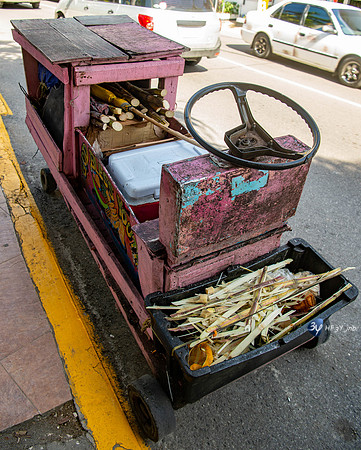 20180216-chariot-jamaïque-rose-livraison-vente_7D47909