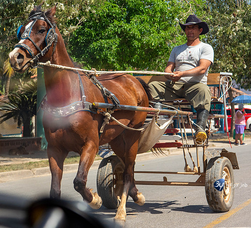 20180219-Cuba-cheval_7D49386