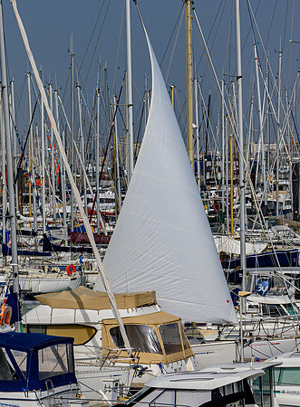 20210402-Rues-Rochelle-Minimes-port-voile-Z07_3872