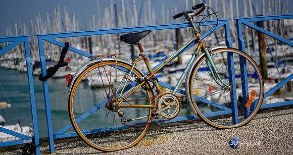 20210402-Rues-Rochelle-Minimes-vélo-bicyclette-Z07_3896