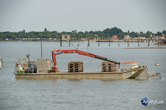 20170528-Ile-AIX--_6D41263_8388