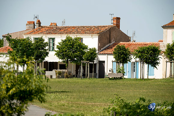20170528-Ile-AIX--_6D41299_8420
