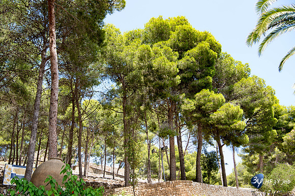20170724-Espagne-Denia-_6D42364