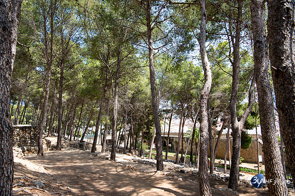 20170724-Espagne-Denia-_6D42379